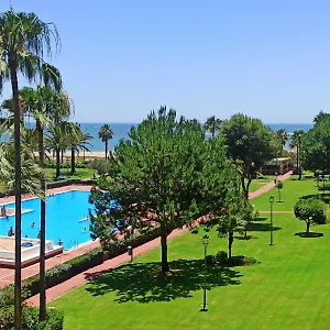 Premium 3 Alcaudon Isla Canela